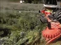 为啥德国拥有2000多个世界名牌,为什么德国有那么多500强