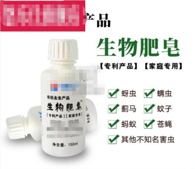 植物虫害的基本知识,如何消灭室内植物虫害