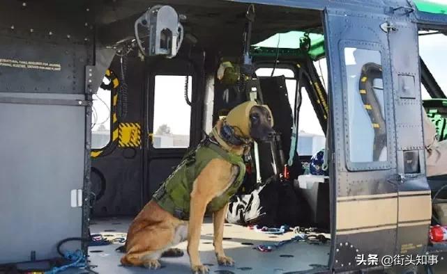 美军用哪款降噪耳罩,美军隔音耳罩