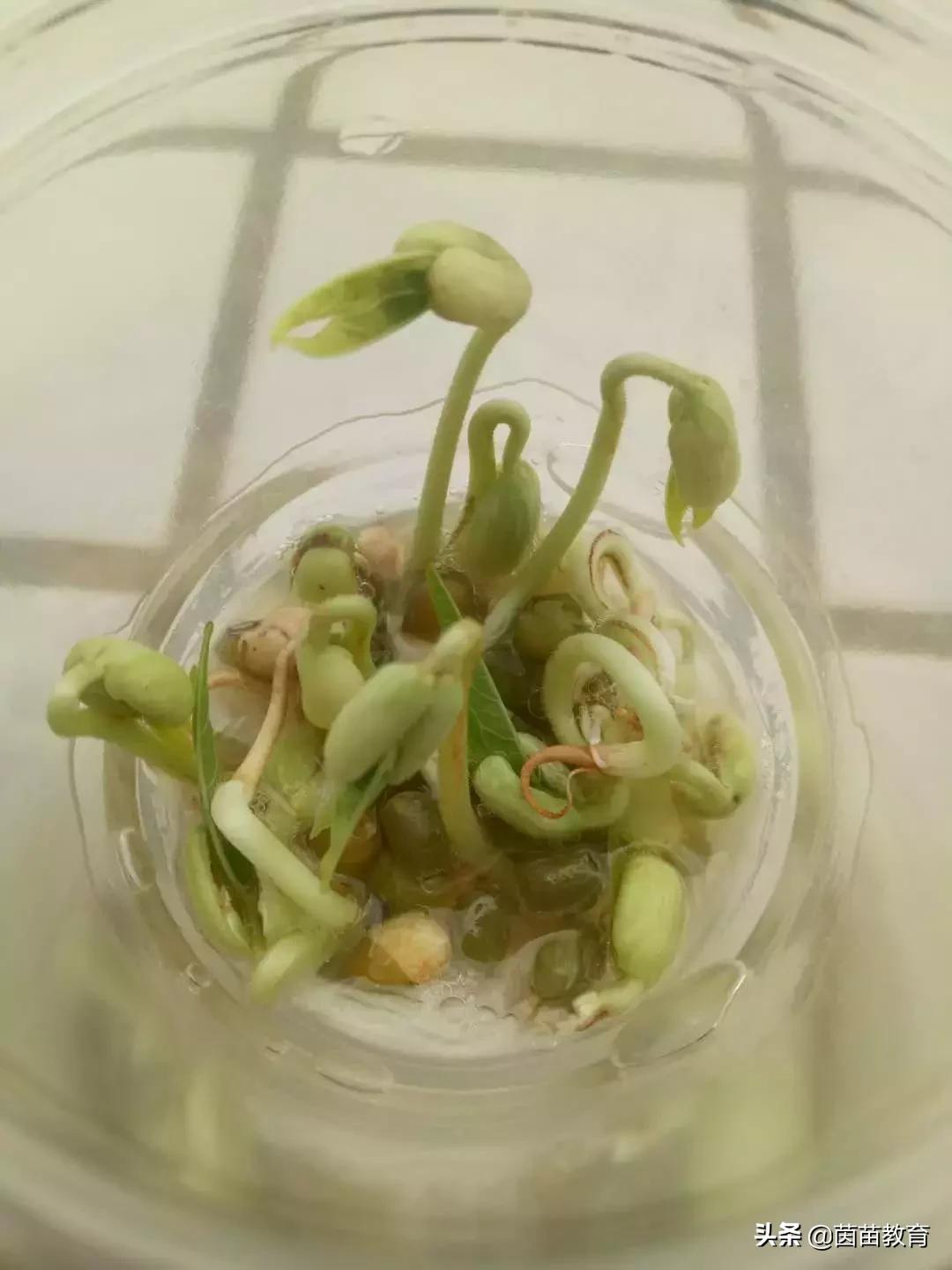 寒假来了，这几件事非做不可！