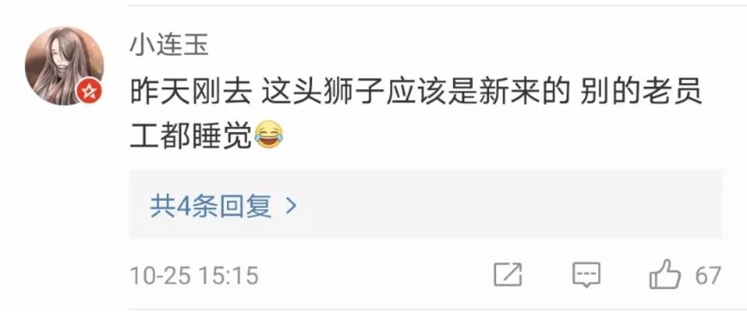 黄鼠狼在超市偷东西,黄鼠狼超市偷火腿肠