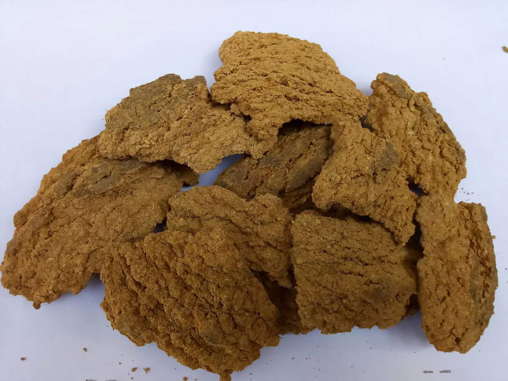 防治猪食盐中毒小窍门,农村猪不吃食物怎么办