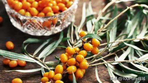 支付宝里种的树是真实存在的吗,支付宝种树真的给你种下了树吗