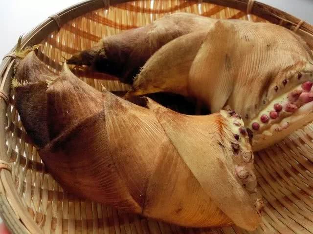 冬笋的10种做法视频,冬笋的六种经典做法