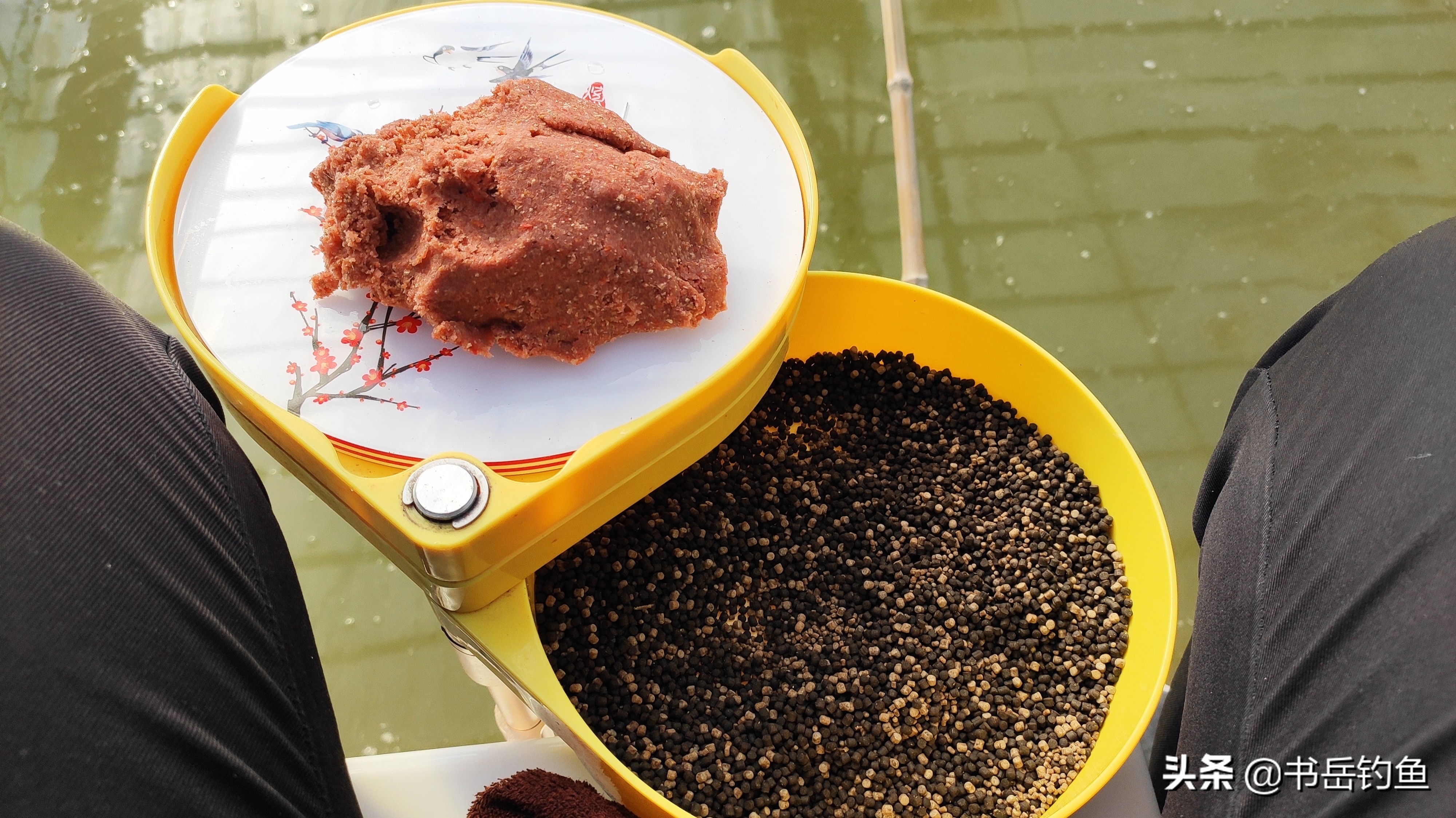 黑坑小炮钓鱼思路,黑坑小炮夜钓需要注意什么