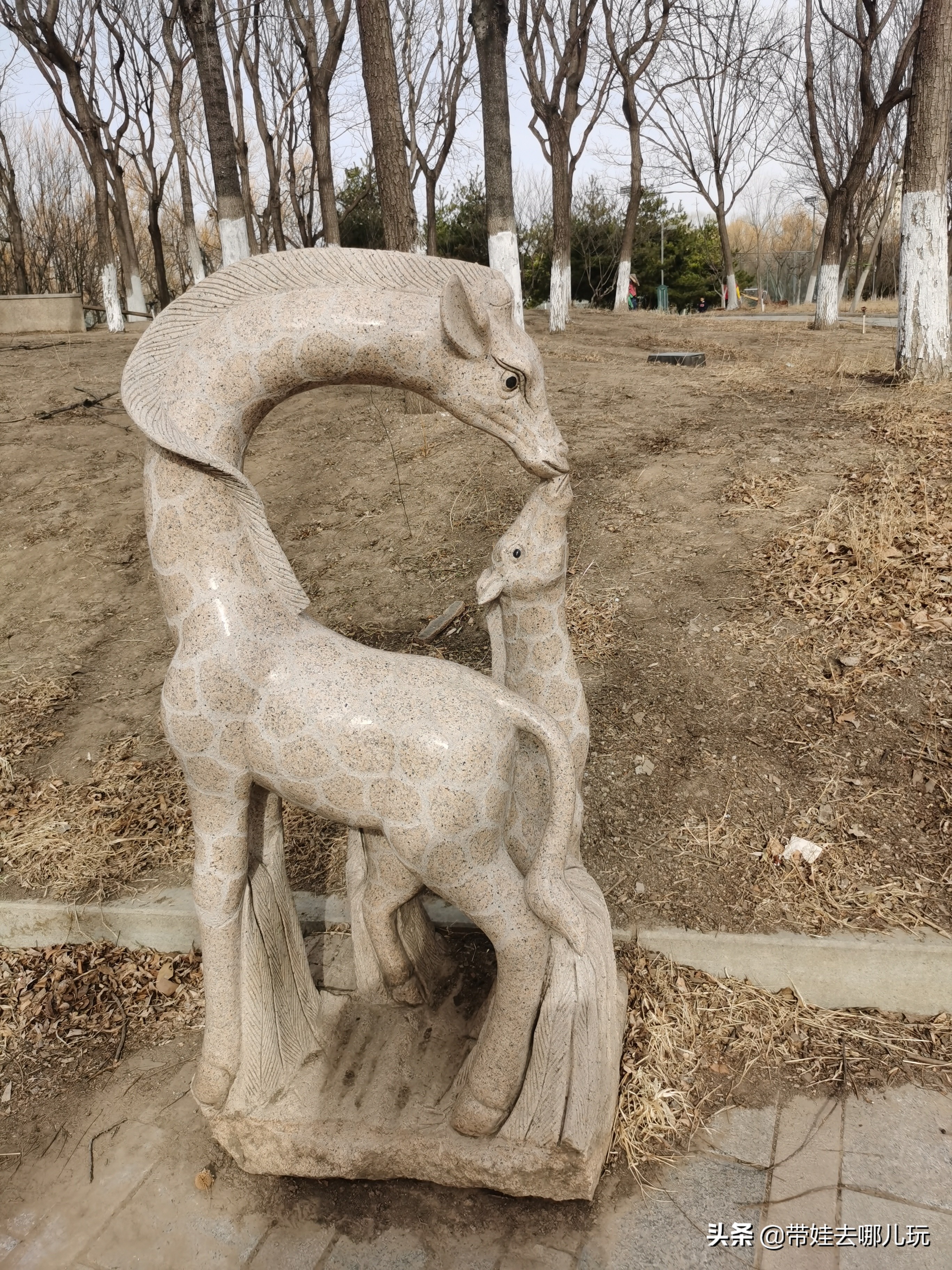 奥森里有免费的儿童乐园吗,奥森公园儿童玩的地方