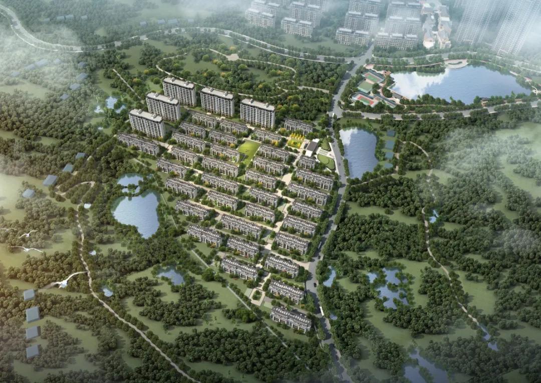 洋沙湖别墅航拍,洋沙湖别墅价格