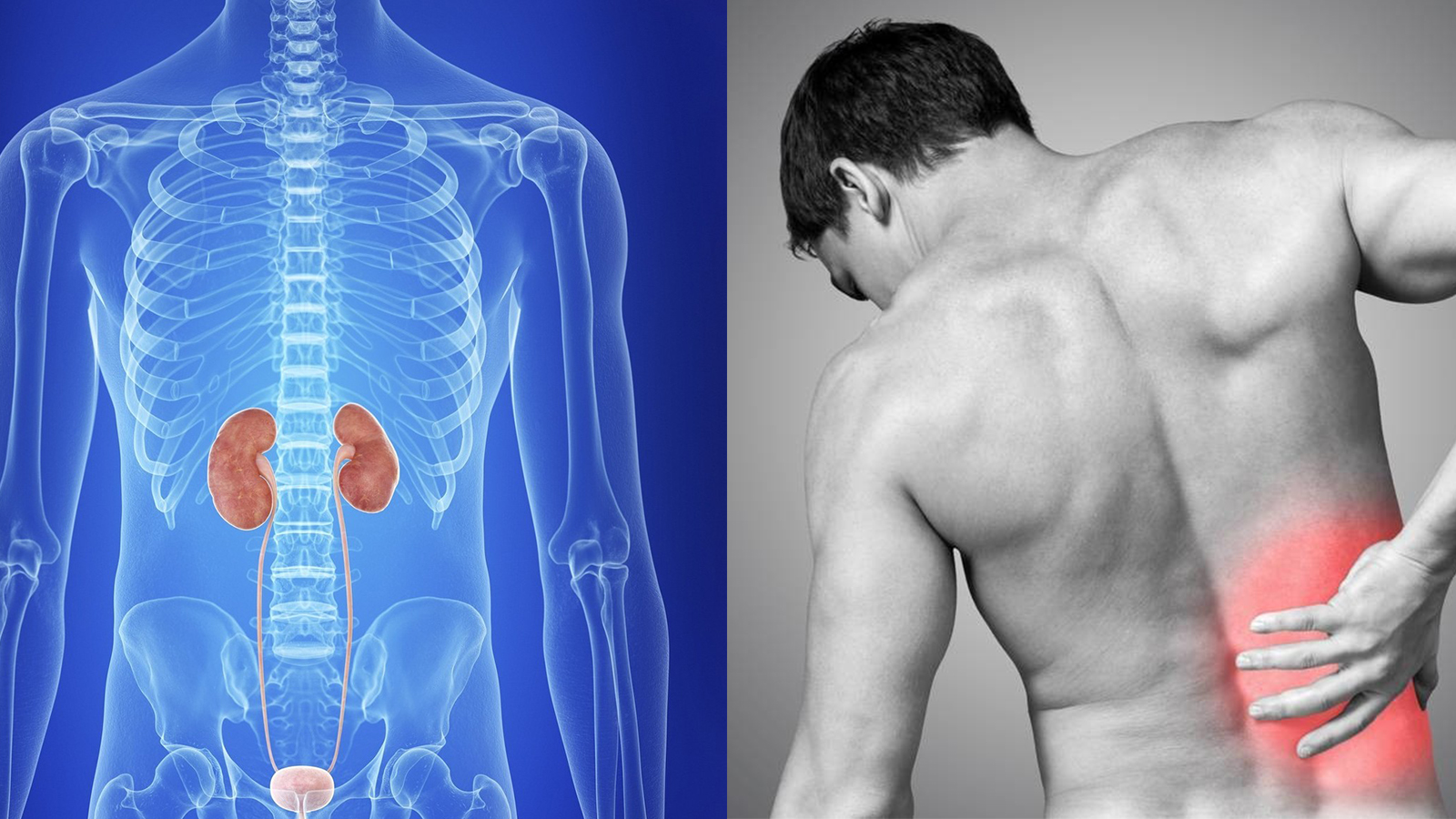 肠绞痛、胆绞痛、肾绞痛，疼痛的位置，区分的方法