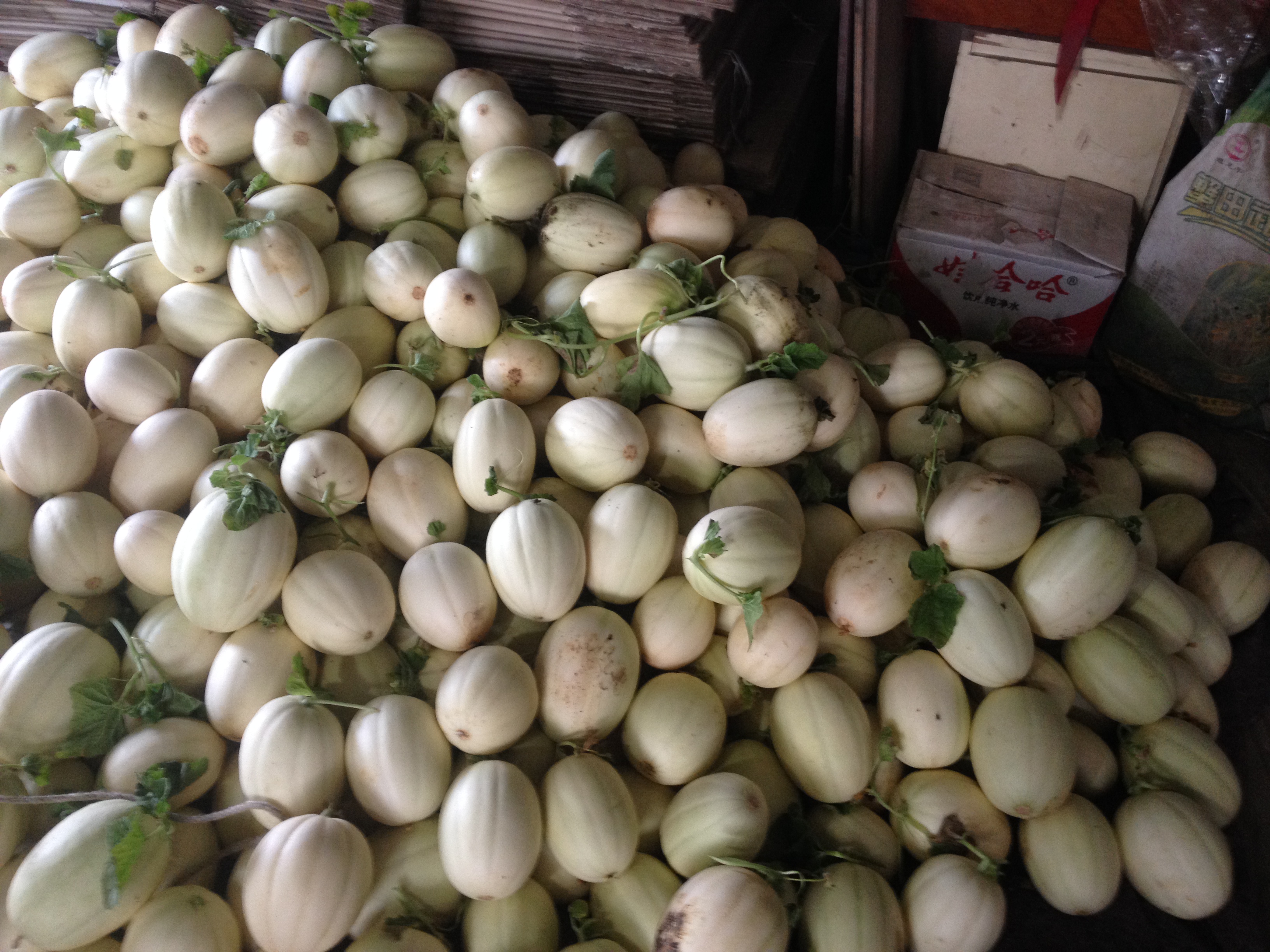 甜脐香瓜的栽培与技术,露地薄皮香瓜栽培技术