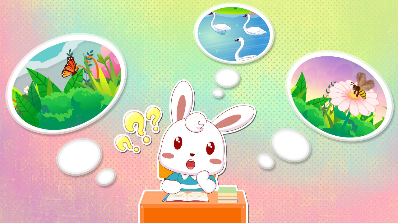 大自然的奥秘关于动物,有关大自然的奥秘