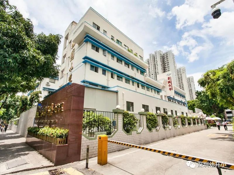 深圳好的双语小学,深圳2023优质小学校排名