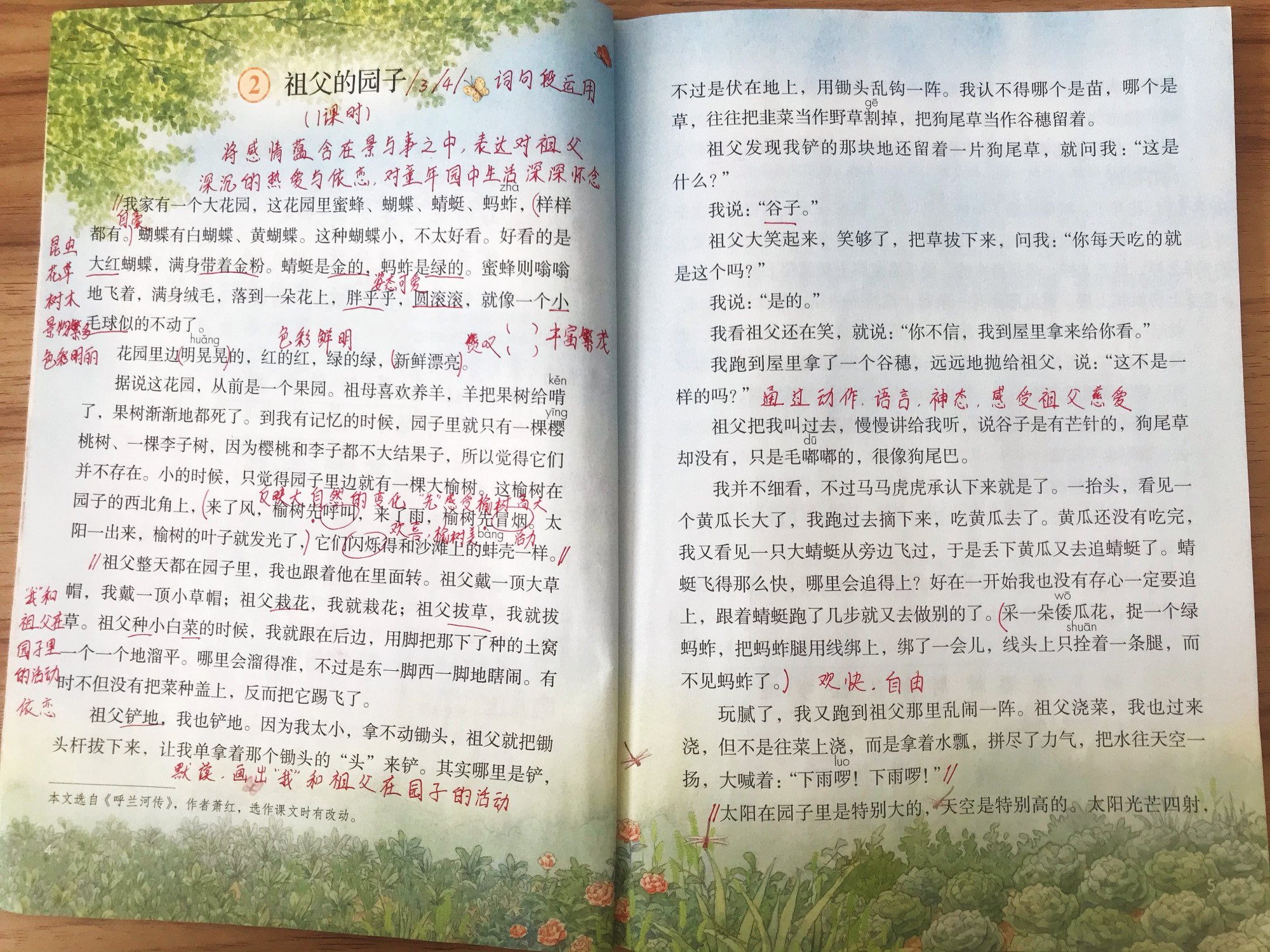 五年级语文上册知识梳理,五年级上册语文第一单元重点知识