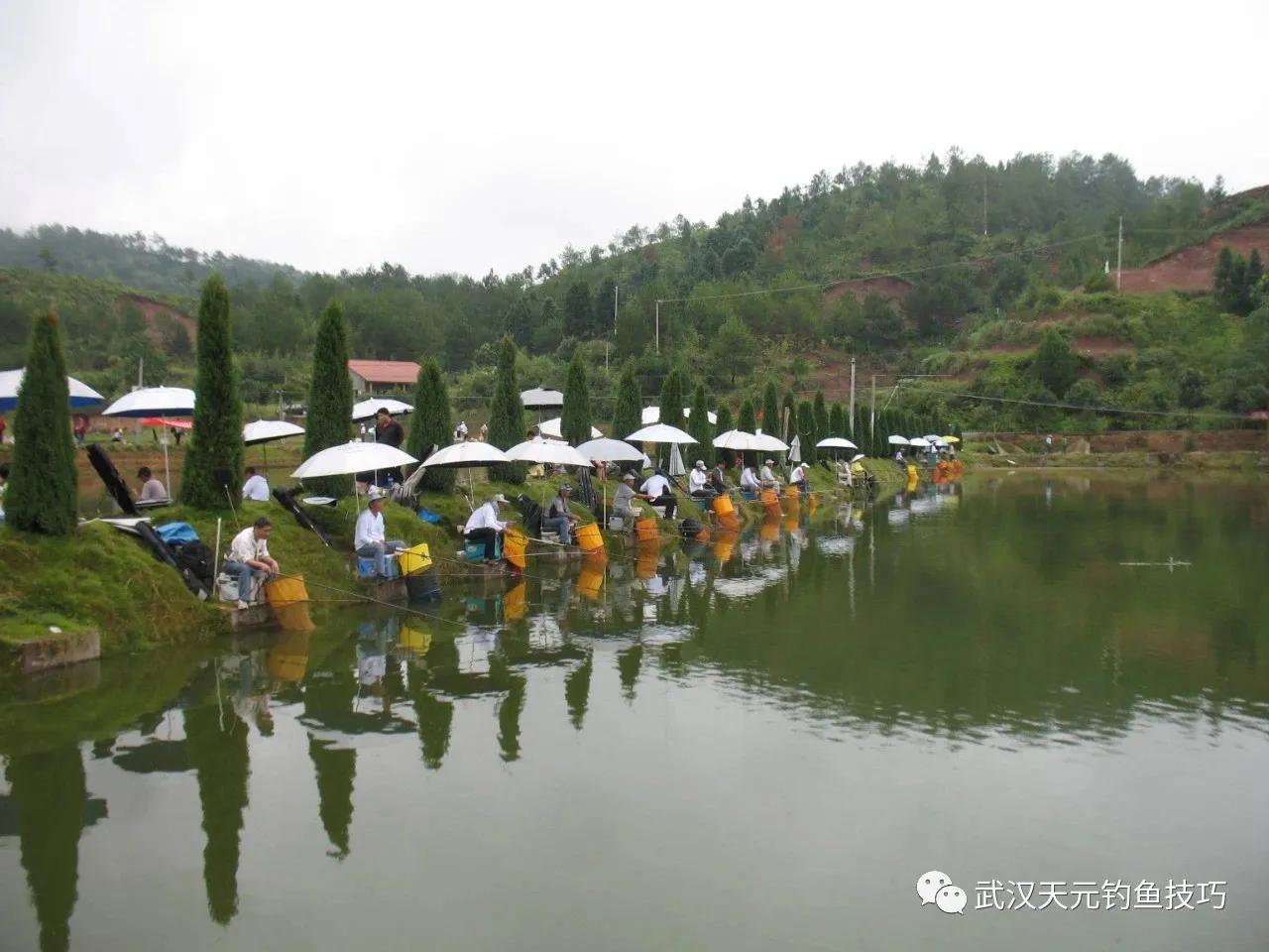 浮漂灵钝讲解,浮漂灵与钝临界点