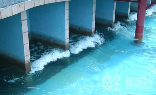 吉林水上乐园巨浪掀翻游客！身边的造浪池还能high吗