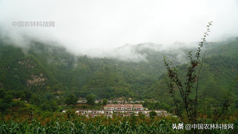 天水到大水川一日游,自驾游到天柱山停哪里最方便