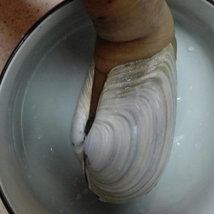 一层山小渔翁说：原来能做刺身的“大象鼻子”叫做象拔蚌