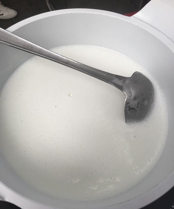 为什么双皮奶没做成功,双皮奶总是不成功