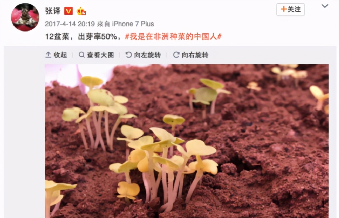 红海行动谁是真正的军人,红海行动中真正的特种兵