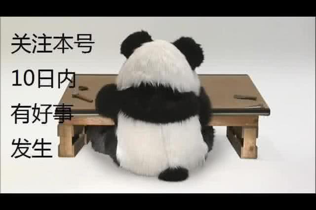 谜题解开,c罗进球后霸气回应动作