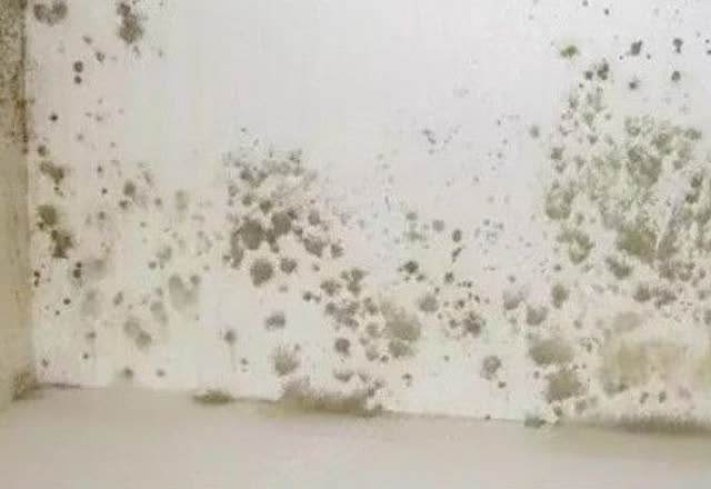 墙面脏了最简单的处理方法,墙面脏了怎么办最快最好的方法