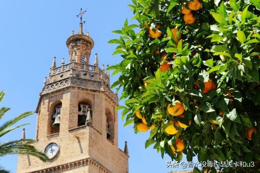 麝香橙花香水,比较果香的香水推荐
