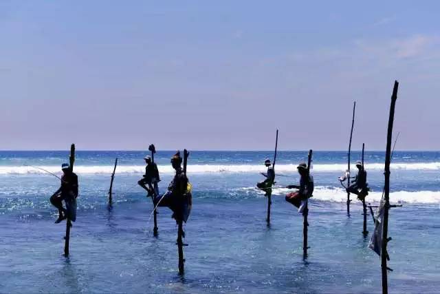 去斯里兰卡旅游必备注意事项,去斯里兰卡旅游需要什么条件