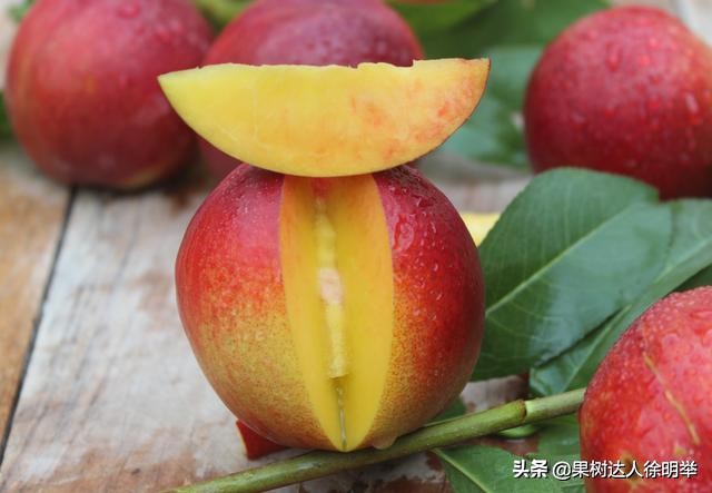 桃子成熟以后裂核怎么回事,桃子桃核裂开怎么回事