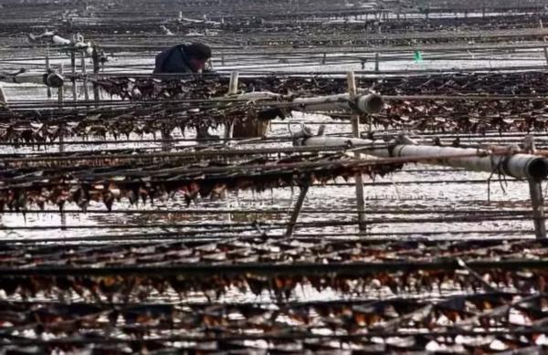 外地亲家来连云港送什么特产呢,外地人回连云港必买的特产