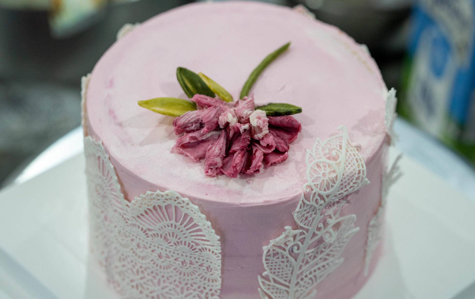 海氏烤箱i3与f1,海氏烤箱i3和小米烤箱