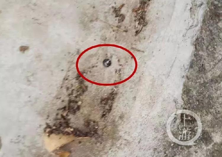 丈夫持棍击伤性骚扰妻子的七旬侄儿，是正当防卫还是故意伤害？