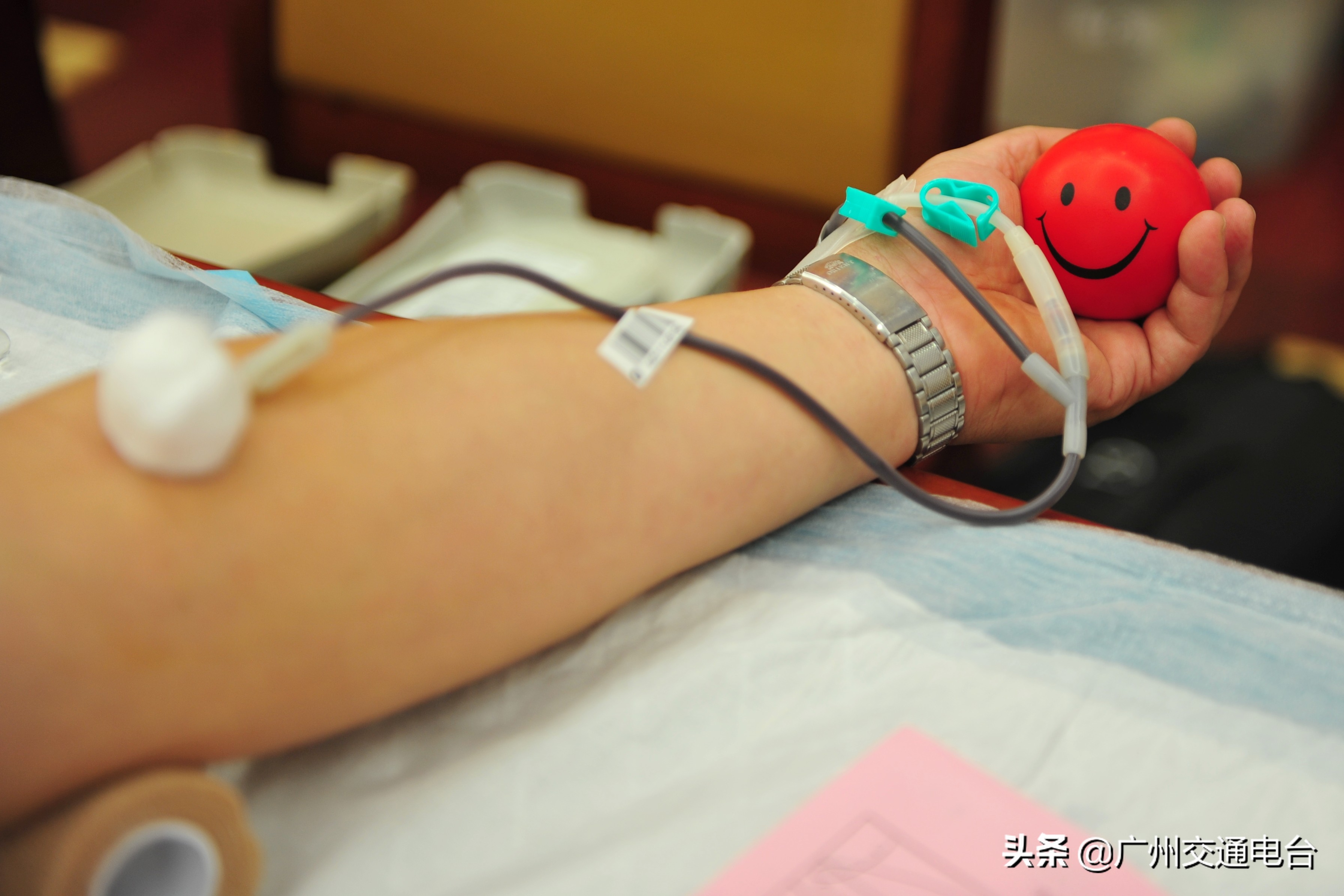 广州筛查到罕见Di,b-血型并输注为国内报道第10例