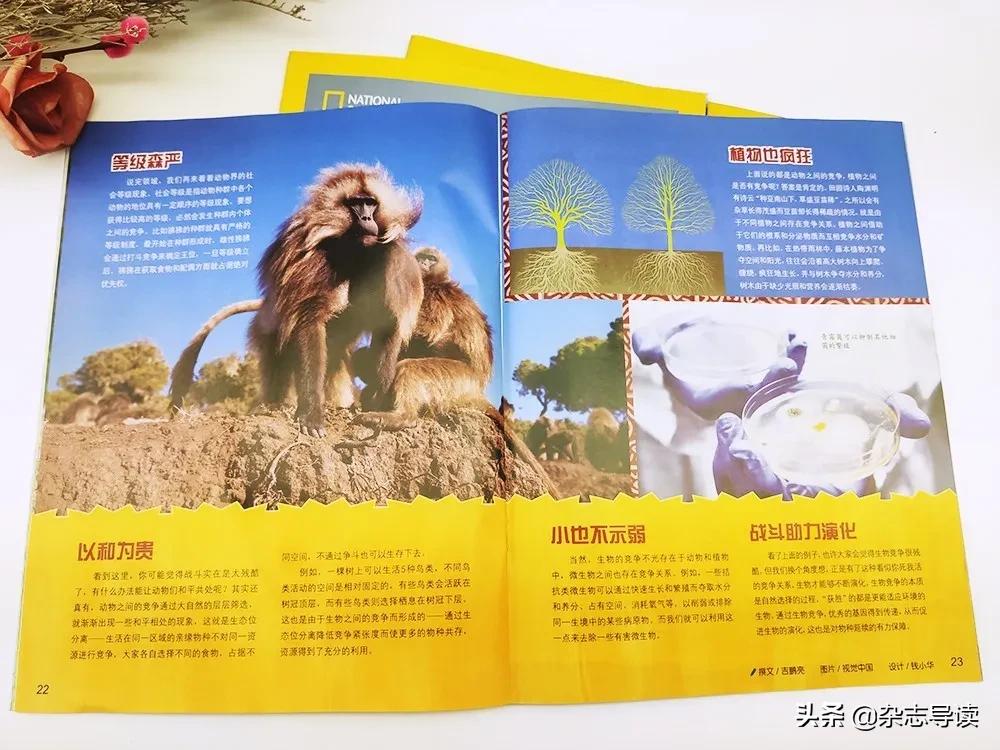 孩子必读的科普读物,哪些适合小学生看的科普杂志