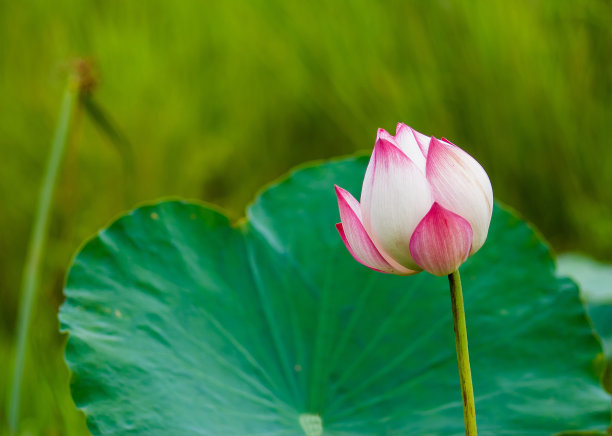 改正方法是错误的吗,改过的方法