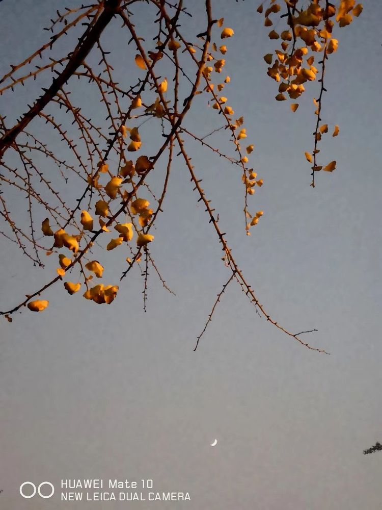 深秋的私语,美文美图经典欣赏