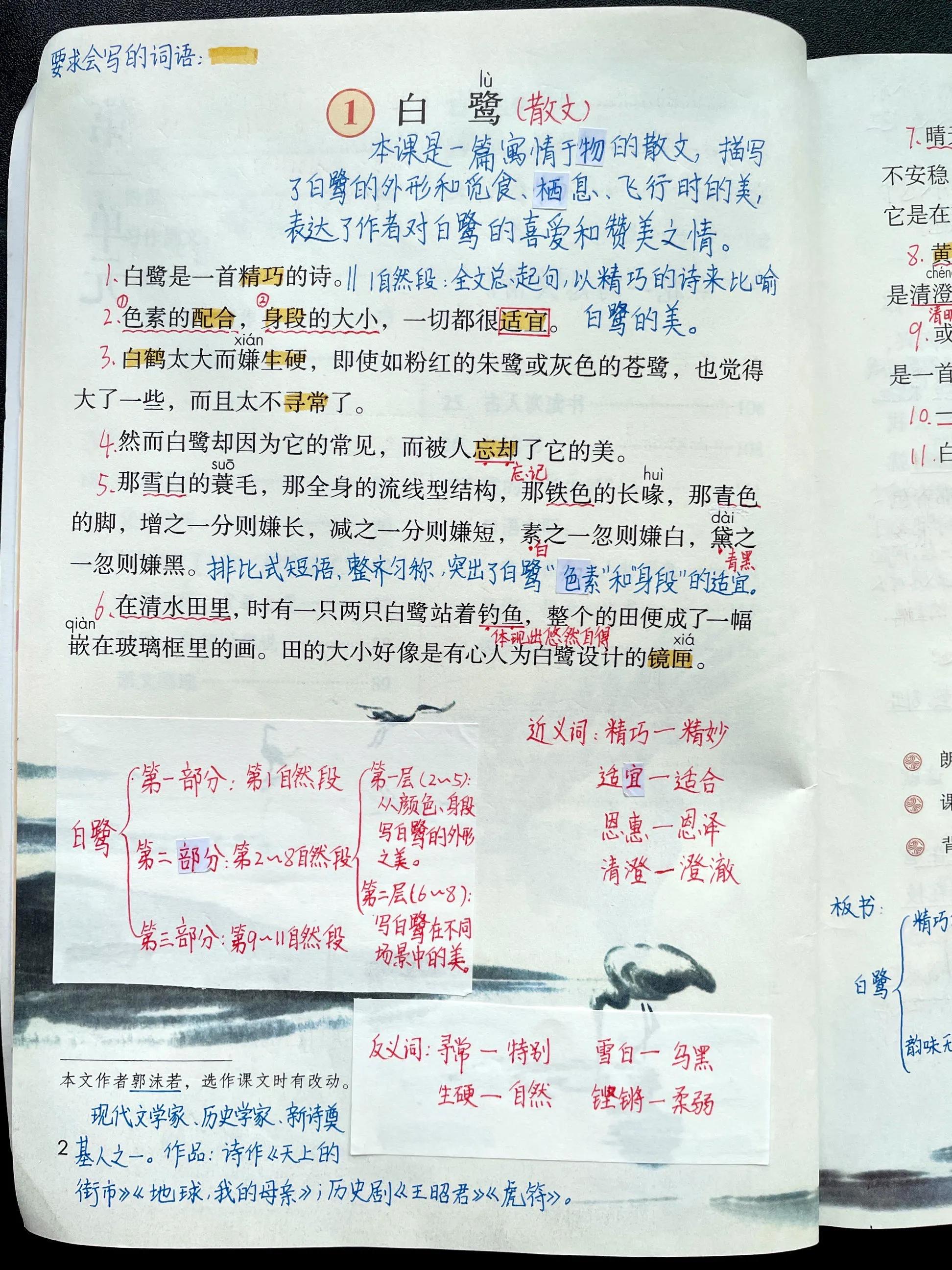五年级课文白鹭预习,五年级语文第一课白鹭的生字预习