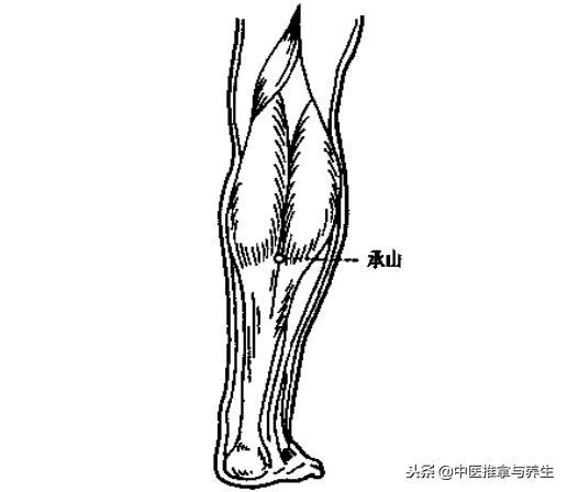 腿部容易水肿吃什么中成药,腿部消水肿的穴位