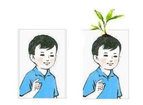 小明滚出去全集搞笑视频,小明滚出去笑话视频