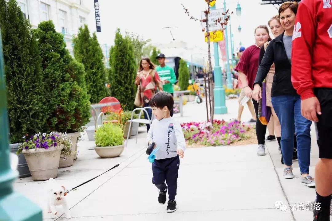 芝加哥及周边的好去处,芝加哥周边游玩