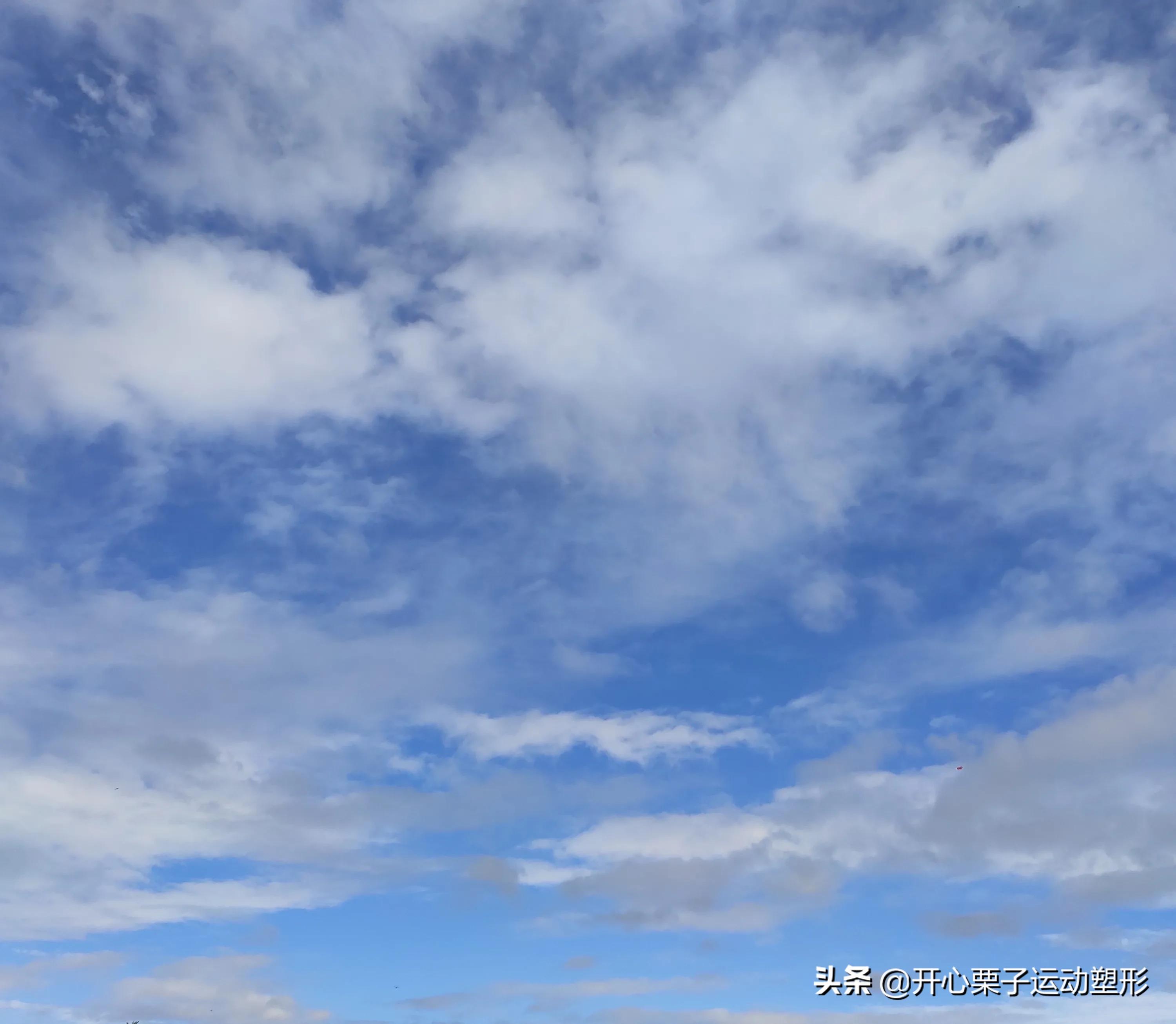 普拉提每天必练100个动作,普拉提站姿动作十个