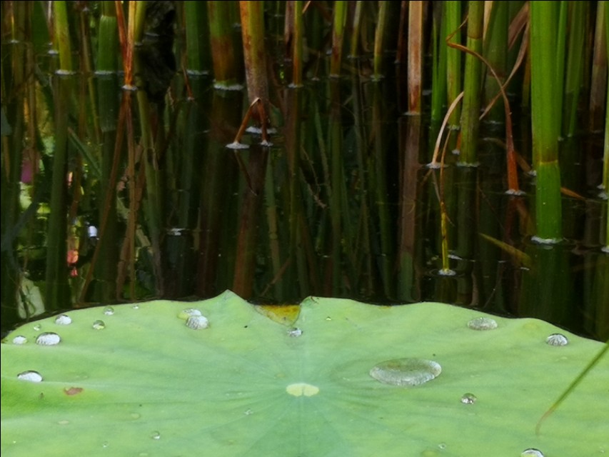 父亲节快到了又想起了我的爸爸,父亲节让我想起了自己的爸爸