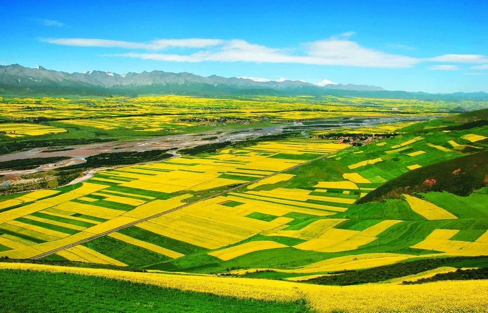 彭旭升古体诗词欣赏一一田园风