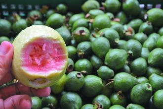 它外面像不熟的,里面像西瓜,广东人喊它“鸡屎果”,你吃过吗?