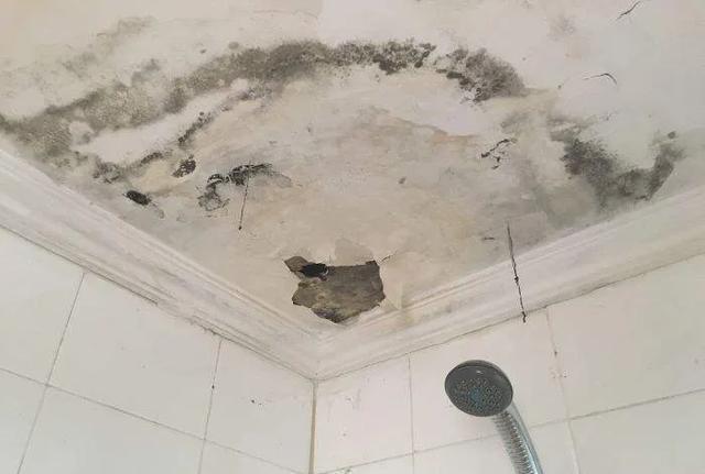 墙壁发霉怎么防止渗水,墙壁发霉怎么抹掉