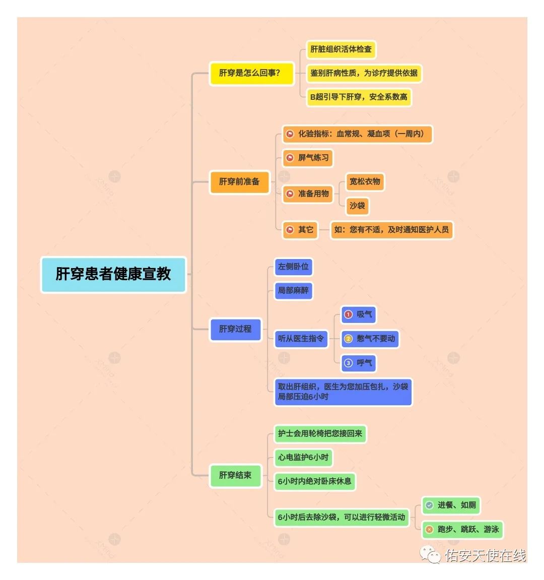 肝穿刺术后注意事项亲身经历,肝手术后要注意什么