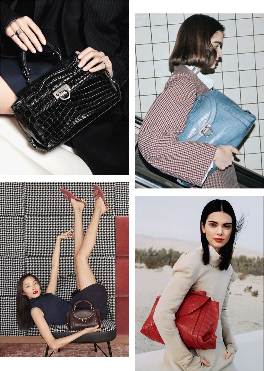 苏家女人买东西,苏家女士包包