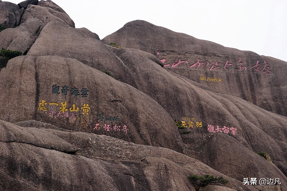 黄山迎客松是真树还是假树,黄山迎客松直播