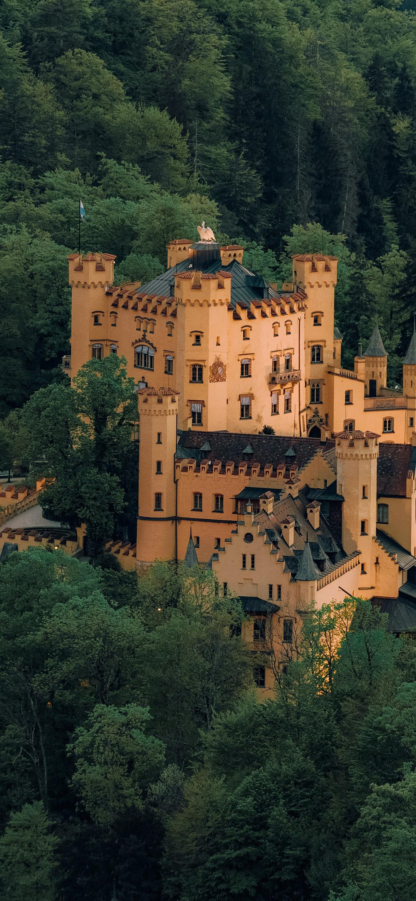夏天风景竖屏壁纸,夏天有小路风景壁纸