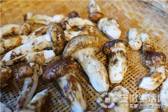 鍚堣偉鑺卞洯椁愬巺鎺ㄨ崘,鍚堣偉鑺卞洯椁愬巺