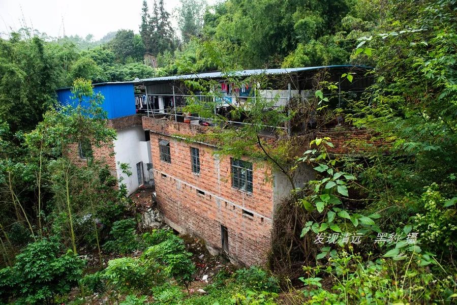 广东哪里有野温泉泡,藏在惠州的一个免费野温泉
