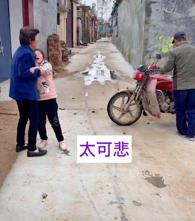 河南奶奶10元卖孙女养2年的狗,河南一奶奶10块卖狗奶奶后续